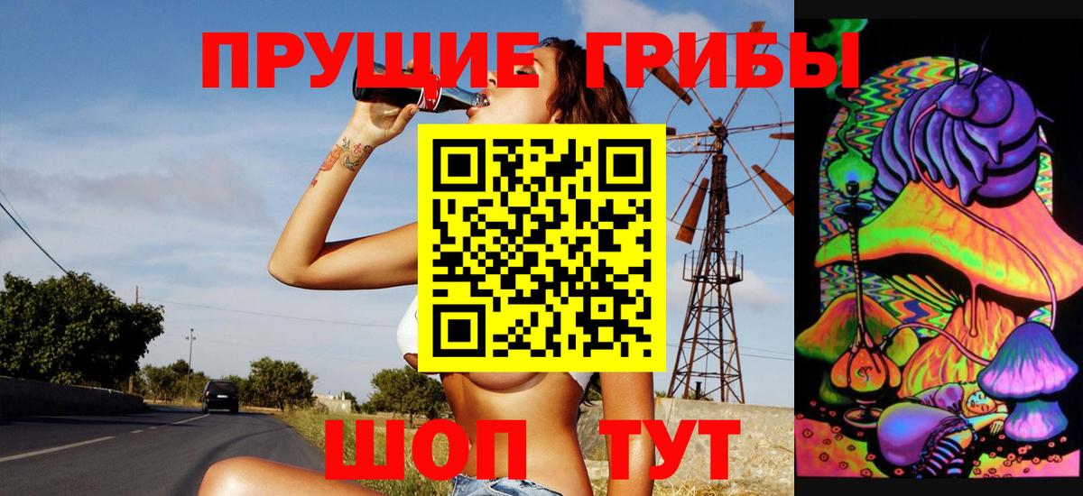 Галлюциногенные грибы Psilocybe  Вход с VPN  как найти закладки  Шали 