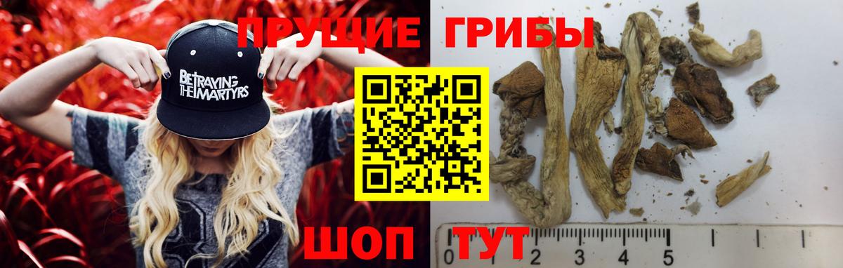 Псилоцибиновые грибы MAGIC MUSHROOMS Шали